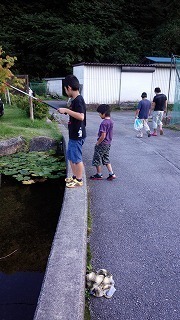 IMG_20140914_165031.jpg
